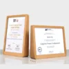 Beechwood Bevel Certificate Frame